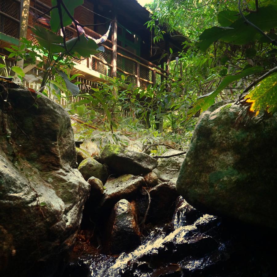 Pousada Sitio Dos Tucanos Florianópolis Kültér fotó