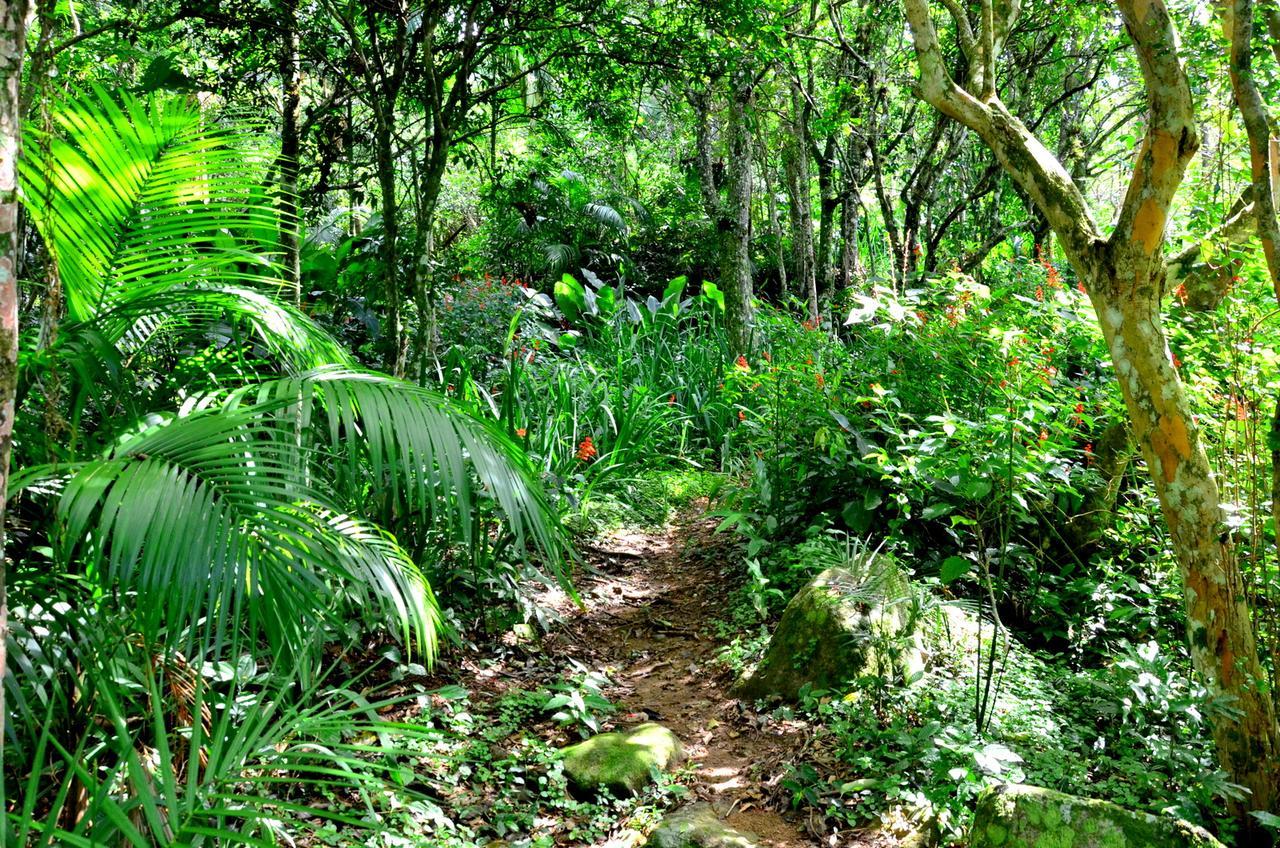 Pousada Sitio Dos Tucanos Florianópolis Kültér fotó